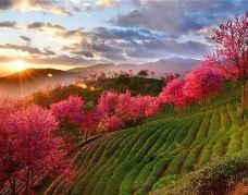 康定情歌(木格措)景区-康定-YoYo_5E6U1I3T