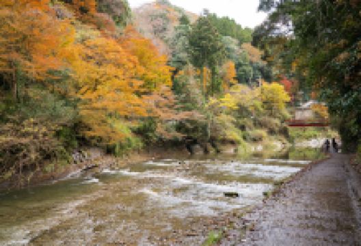 养老溪谷景点图片