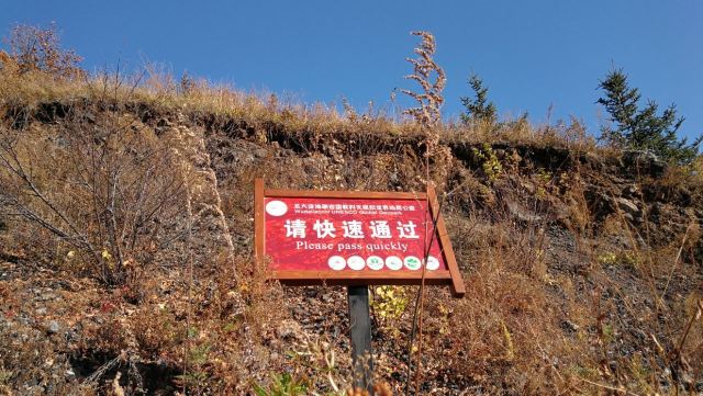藥泉山