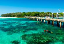 汉密尔顿岛旅游图片-大堡礁2日游