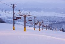 富良野旅游图片-富良野+旭川+札幌滑雪3日游