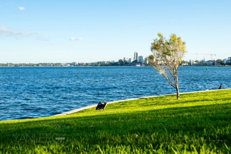 Perth Brief Guide