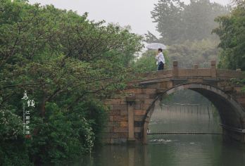 苏州拙政园+乌镇西栅1日游【上海出发夜游西栅 西栅日夜全景】【纯玩不进店 天天发班，旅行社直发 不转团不卖团 专线专职导游；】