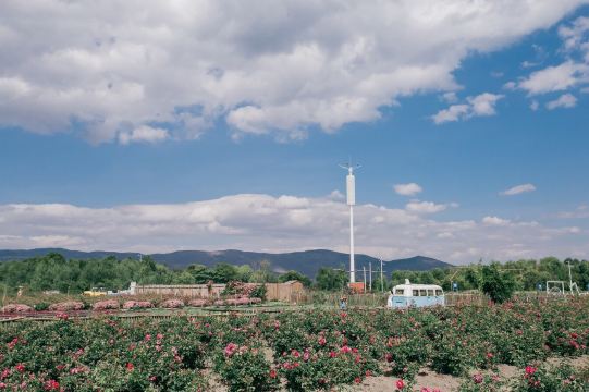 花伴一生玫瑰庄园