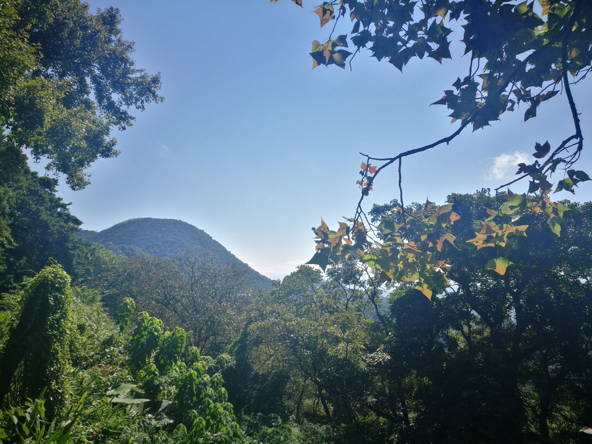 纱帽山