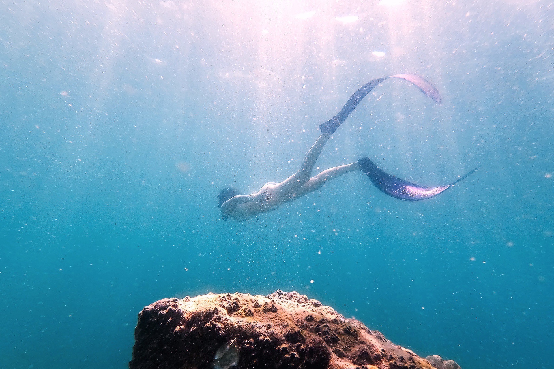 出海日，安达曼海自由潜水，长出自由的尾巴。