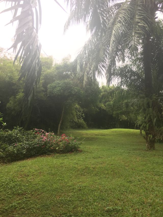 Jinniuling Park