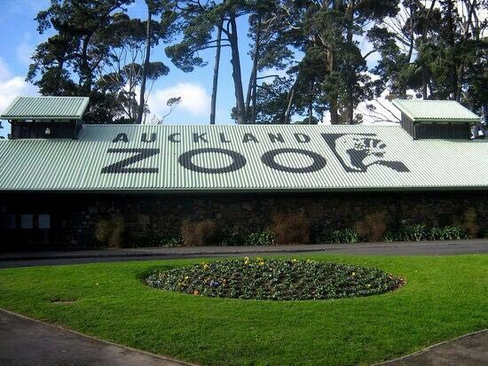 Auckland Zoo