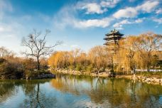 大明湖景区-济南-C-IMAGE