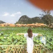 浮游的小蜉蝣在浮舟