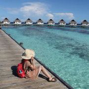 浅夏淡过花开时