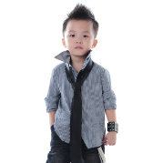 诚实的动物凶猛