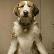 被酒指染的青春