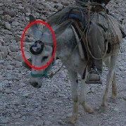 这名刚好七个字