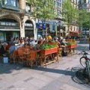 哒凌星球的米奇酱少年