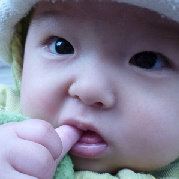 水牛真的是水牛