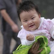 以后养条狗就叫元宝