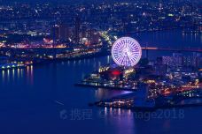 天保山摩天轮-大阪-C-IMAGE
