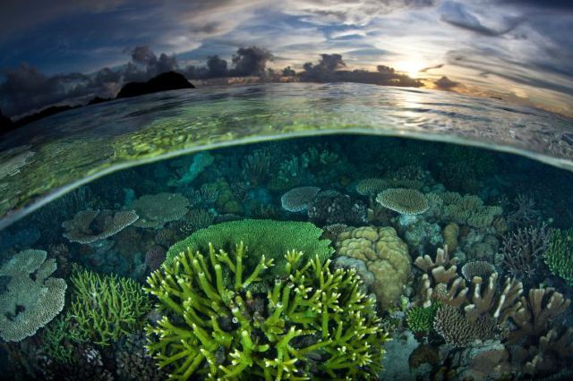 World's Most Incredible Dive Locations