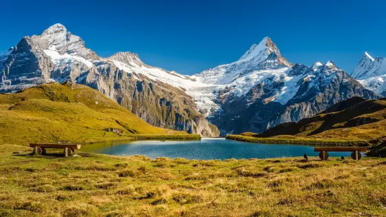 艾格爾山