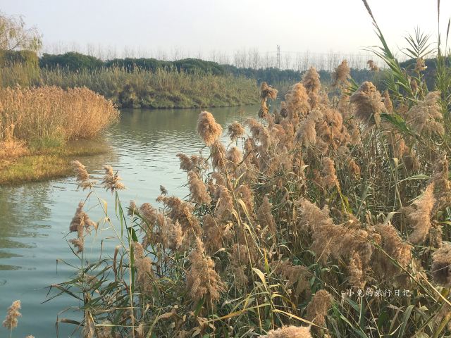 沙家浜風景區
