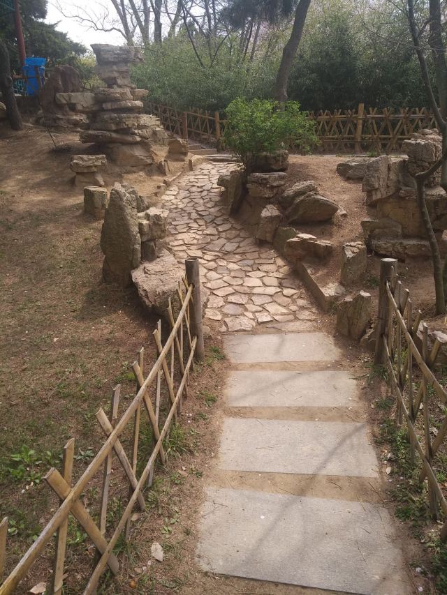 青岛市海泊河公园旅行图片 3