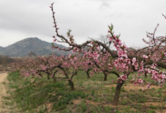 马石山景点图片
