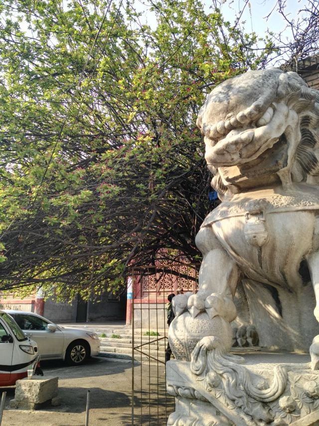 孚王府(不对外开放)旅行图片 10