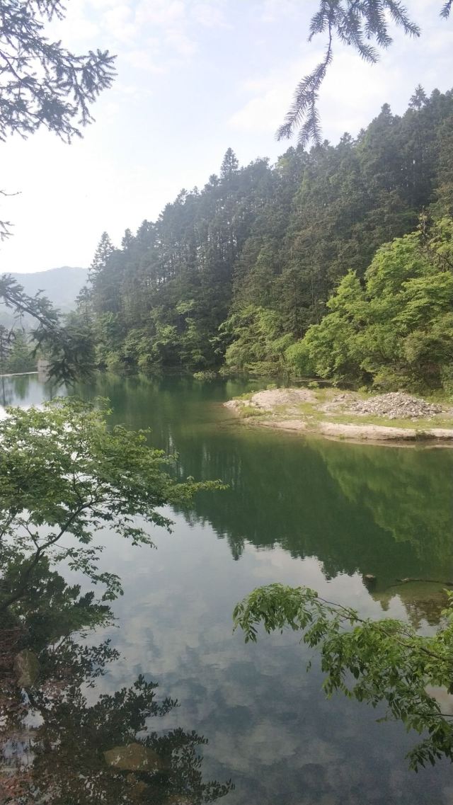 马鬃岭景区旅行图片 1