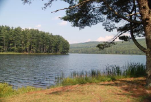 Cave Mountain Lake景点图片