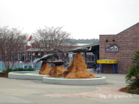 絶対に行くべきグリーンズボロの観光スポット トリップドットコム