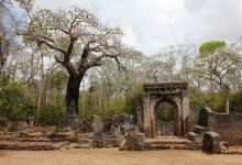 Gede Ruins景点图片