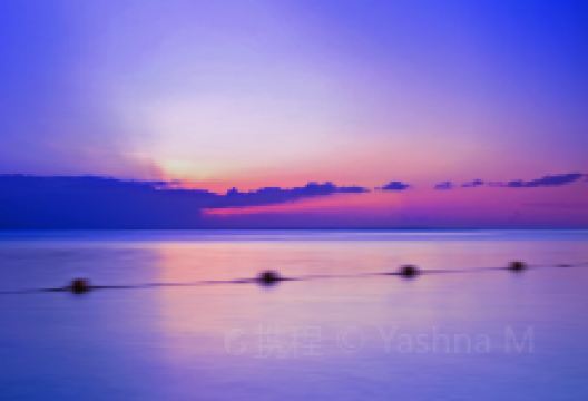 旧金山湾及三角洲模型景点图片