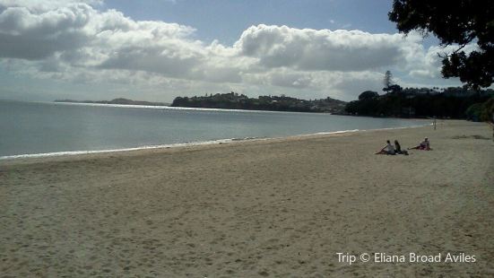 Kohimarama beach