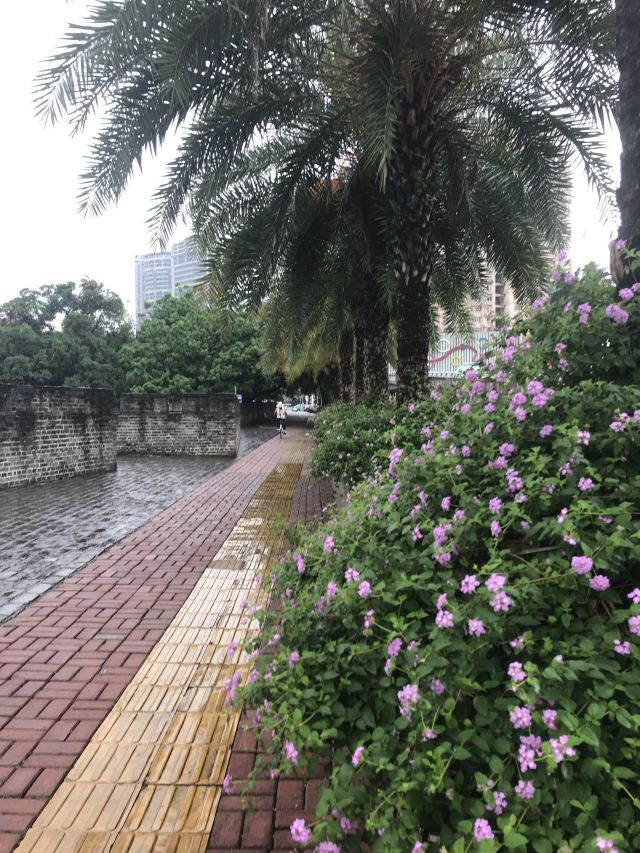 南宁古城墙旅行图片 14