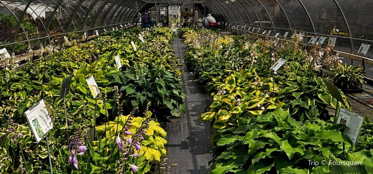 Plant Delights Nursery Tickets Deals Reviews Family Plant Delights Nursery Tickets Deals Reviews Family