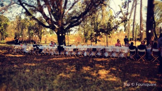 Pretoria Local Prison Travel Guidebook Must Visit Attractions In