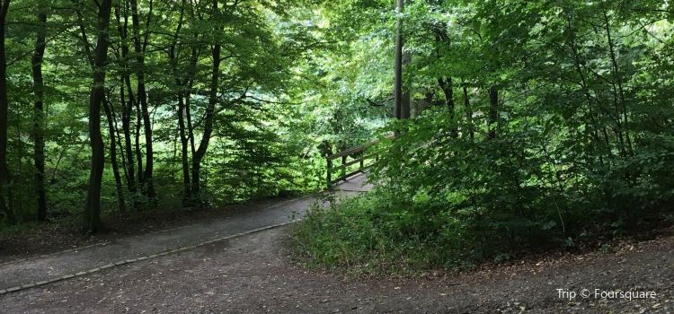 Nordpark Tickets Deals Reviews Family Holidays Trip Com