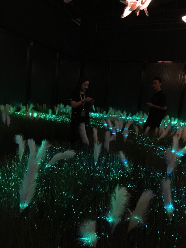 西安世博园旅行图片 1