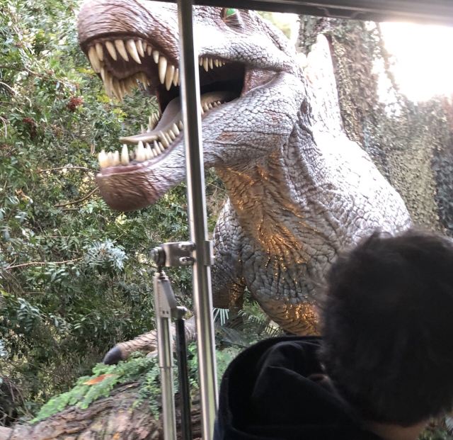 Universal Studios Hollywood