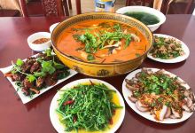 善德美食府美食图片