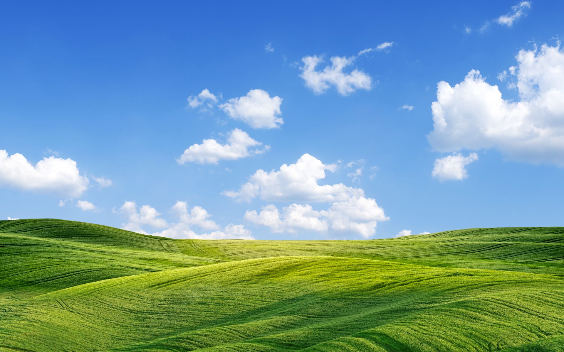 左边右边(浦城店)餐厅图片