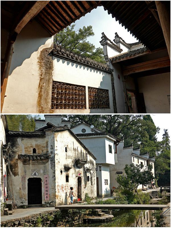 芹川村