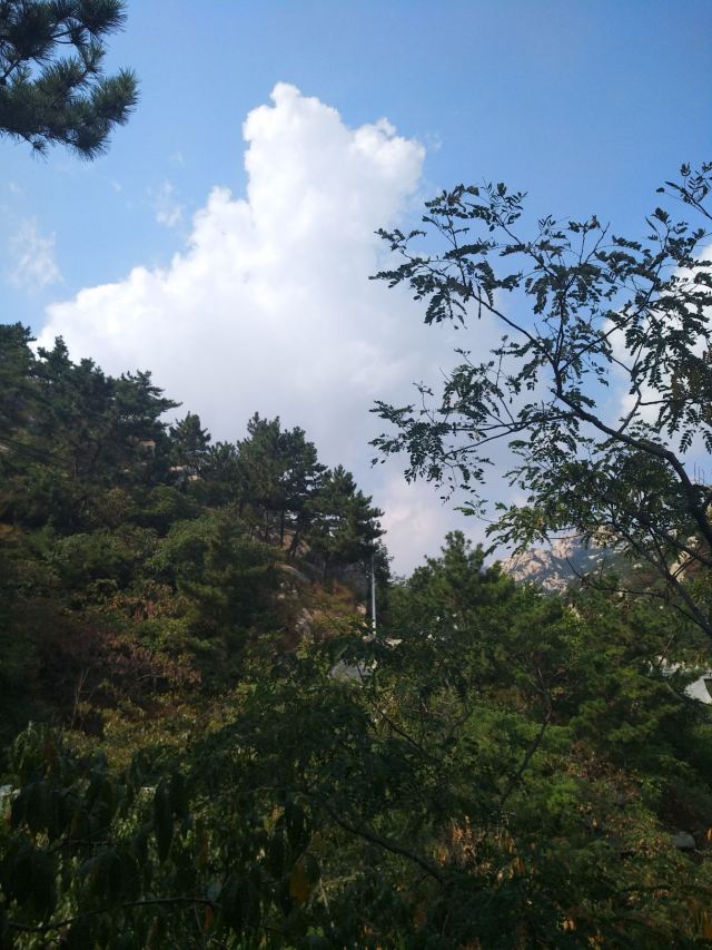 牛毛山公园旅行图片 3
