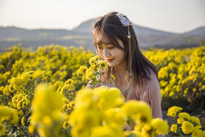 新泰游记图文-新泰丨秋游赏花好去处，泰山脚下万亩菊花开成海