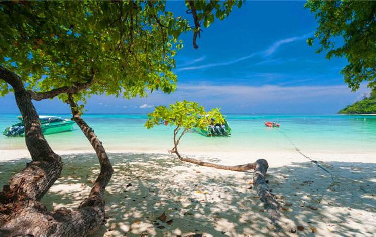 洛克岛是泰国所有岛屿中海洋生物最多的小岛，它能满足你对海岛的所有浪漫幻想，是真正大自然馈赠的海底世界