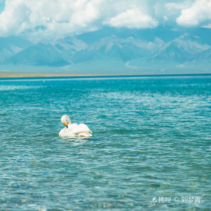 中国新疆伊犁赛里木湖一日游