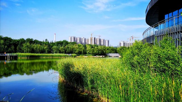航天城中湖公园旅行图片 6