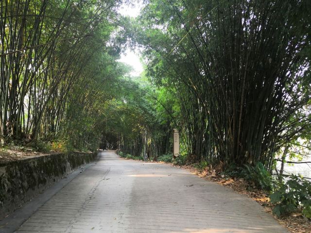 贵阳市森林公园旅行图片 2