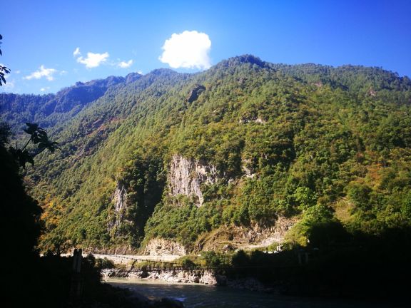 雾里村